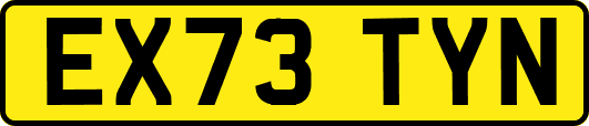 EX73TYN