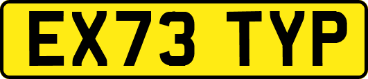 EX73TYP