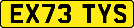 EX73TYS