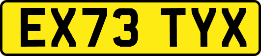 EX73TYX