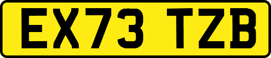 EX73TZB