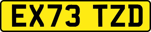 EX73TZD
