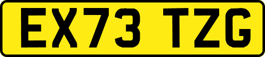 EX73TZG
