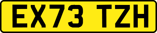 EX73TZH