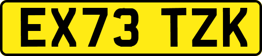 EX73TZK