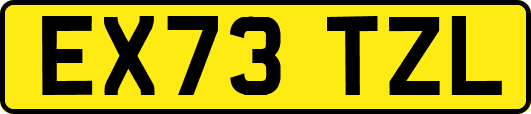 EX73TZL