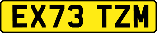 EX73TZM