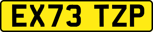 EX73TZP