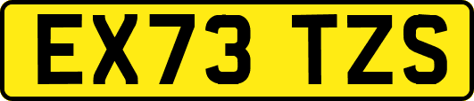 EX73TZS
