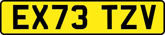 EX73TZV