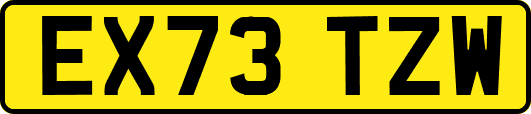 EX73TZW