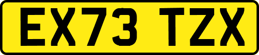 EX73TZX