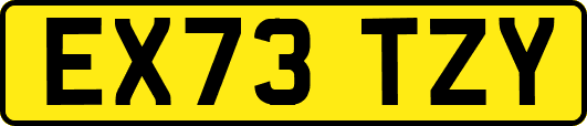 EX73TZY