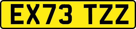 EX73TZZ