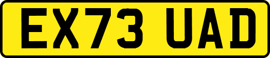 EX73UAD