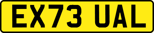 EX73UAL