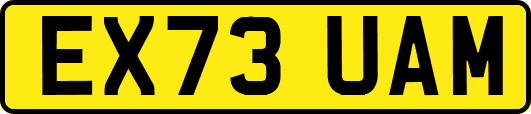 EX73UAM