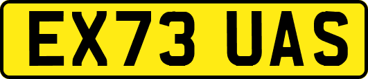 EX73UAS