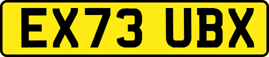 EX73UBX