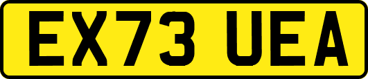 EX73UEA