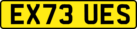 EX73UES