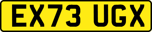 EX73UGX