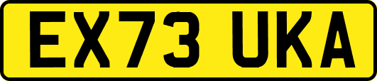 EX73UKA