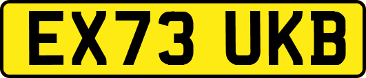 EX73UKB