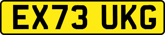 EX73UKG