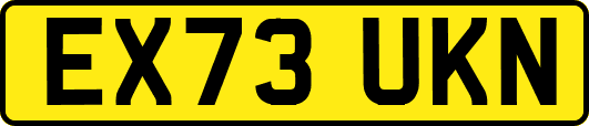 EX73UKN