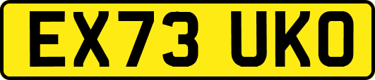 EX73UKO