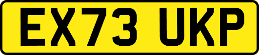 EX73UKP
