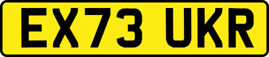 EX73UKR