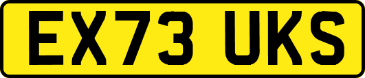 EX73UKS