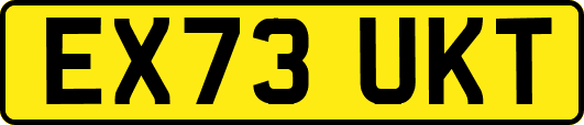 EX73UKT
