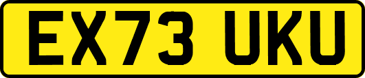 EX73UKU