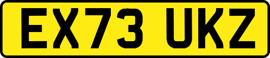 EX73UKZ