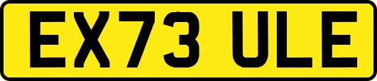 EX73ULE