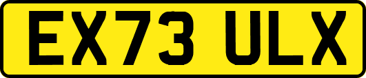 EX73ULX