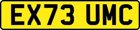 EX73UMC