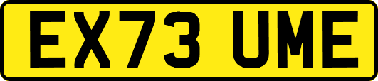 EX73UME