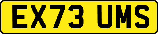 EX73UMS