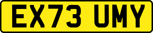 EX73UMY