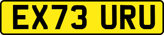 EX73URU
