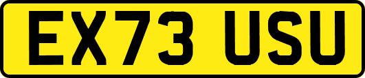 EX73USU