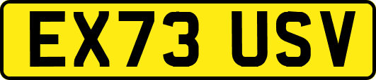 EX73USV