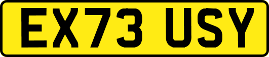EX73USY