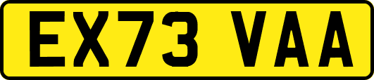 EX73VAA