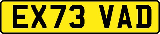 EX73VAD
