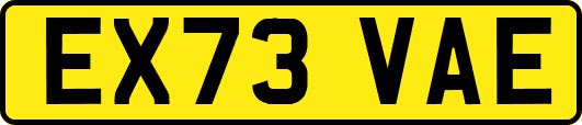 EX73VAE